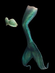 an image of a mermaid tail with a fish in it's mouth on a black background