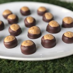 there are chocolates with peanut butter in them on a white plate and green grass