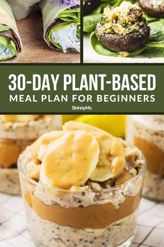 an image of plant based meal plan for beginners