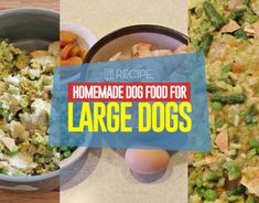 three different pictures with the words homemade dog food for large dogs in front of them