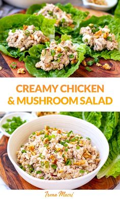 creamy chicken and mushroom salad with lettuce leaves