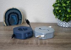 two blue speakers sitting on top of a wooden table next to a potted plant