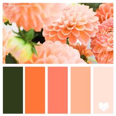 an orange and green color scheme with flowers