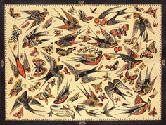 an image of many birds and butterflies on a beige background with black trimmings