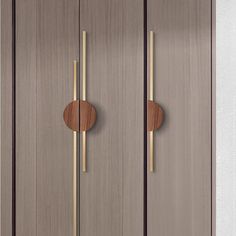 a wooden door with two round knobs on the front and one circle on the back