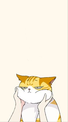 an orange and white cat laying on top of a person's head with its eyes closed