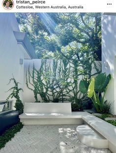 a white bench sitting in the middle of a garden next to a wall with plants on it