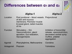 the names of different types of muscles and their functions in an organ system, including blood vessels