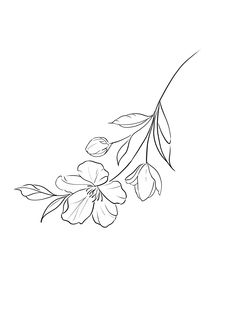 a line drawing of flowers on a white background