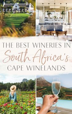 the best wines in south africa's cape winelands