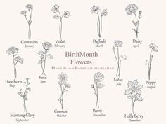 the different types of flowers are shown in this diagram