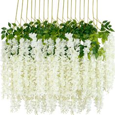 white flowers are hanging from a green planter with long, thin bars attached to it