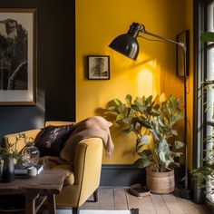 a living room with yellow walls and plants in pots on the coffee table next to the couch