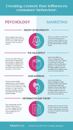 an info sheet with different types of information