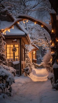 a snowy path leading to a small house with lights on the front door and trees covered in snow