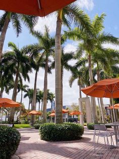 tables and chairs under orange umbrellas on a brick patio with palm trees in the background