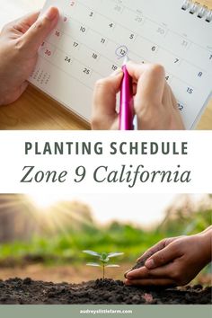 someone holding a pen and writing on a calendar with the words planting schedule zone 9 california