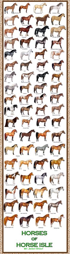 an image of horses that are all different colors and sizes, with the names on them