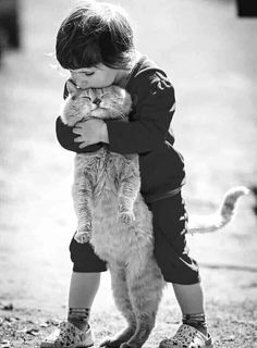 a little boy that is hugging a cat