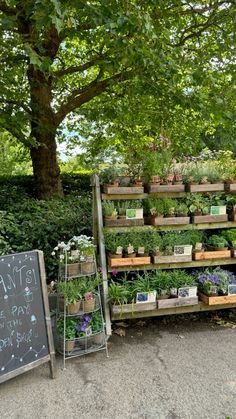 an assortment of plants and flowers on display in a garden area next to a chalkboard sign