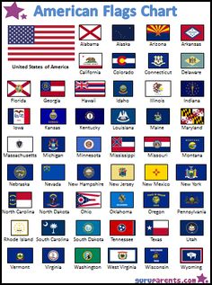 an american flag chart with all the states and their flags