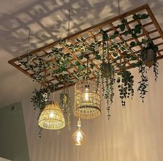 some plants are hanging from the ceiling in a room with white walls and wooden beams