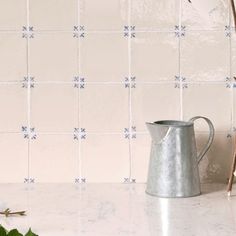 a metal watering can sitting on top of a counter next to a potted plant