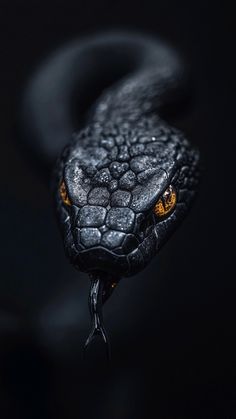 a black snake with an orange eye on it's head is photographed in the dark