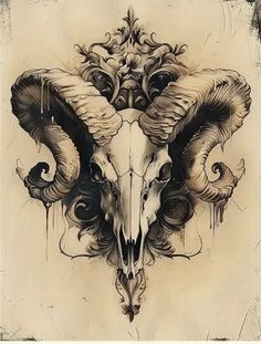 a drawing of an animal skull with horns