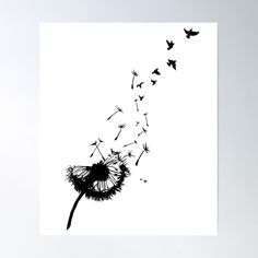 High-quality posters to hang in dorms, bedrooms or offices. Multiple sizes are available. Printed on 185gsm semi gloss poster paper. Additional sizes are available. This beautiful Dandelion is an eye-catcher on the street, while shopping, in the park and when meeting friends and family. Surprise your loved ones and see the big smile in their faces. Dandelions Flower, Wind Drawing, Dandelion Flower, Bird Gifts, Meeting Friends, Flower Lover, Quality Posters, The Wind, Dandelion