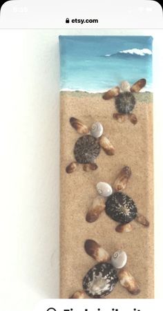 two sea turtles on the beach with seashells in their shells and text reading, tridistillion