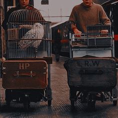 two people are walking down the street with luggage and birds in cages on their carts