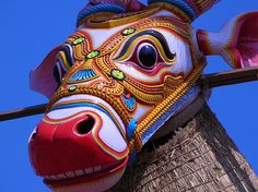 an animal mask hanging from the side of a palm tree in front of a blue sky