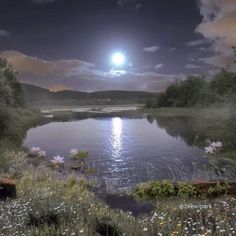 the full moon shines brightly in the sky over a lake with wildflowers