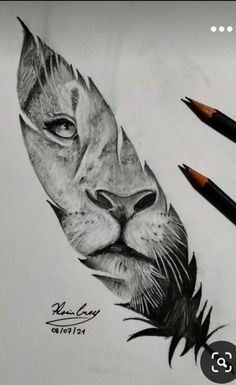 a pencil drawing of a lion's head with feathers on its face and eyes