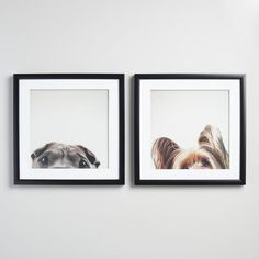 two black framed pictures hanging on the wall next to each other with a dog's face in between them