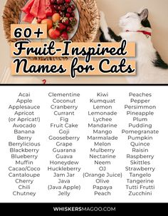 From classics like Mango, Berry, Peach, and Olive, to creative options like Fig, Marmalade, Chili, and Coconut, check out 60+ sweet fruit names for cats and kittens, right here! Berry Names, Fig Marmalade, Cat Foster, Cat Symbolism, Chocolate Names, Cats Name