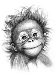 a drawing of a monkey with hair on its head