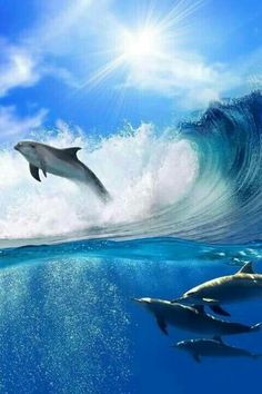 two dolphins are swimming in the ocean with blue sky and clouds above them, while another dolphin swims by