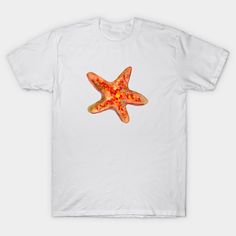 a traditional watercolor design of a brown and orange colored starfish. -- Choose from our vast selection of Crewneck and V-Neck T-Shirts to match with your favorite design to make the perfect graphic T-Shirt. Pick your favorite: Classic, Boxy, Tri-Blend, V-Neck, or Premium. Customize your color! For men and women. Orange Starfish, Brown And Orange, Swimming Diving, Watercolor Design, Starfish, V Neck T Shirt, Graphic T Shirt, The Selection, Graphic Tshirt