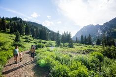 three people walking down a trail in the mountains with their dogs on a sunny day