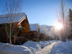 the sun shines brightly in front of a log cabin on a snowy path between trees and snow - covered ground