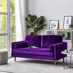 a living room with white walls and purple couches in front of a large window