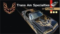 an image of a car with flames on the hood and side stripes that say transs am specialities of florida