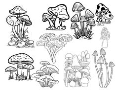 the different types of mushrooms are outlined in black and white, including one with a mushroom on