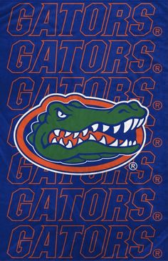 the university of florida gators beach towel