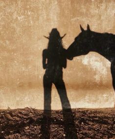 a shadow of a person standing next to a horse