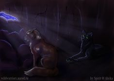 two cats sitting on the ground in front of a dark background with green eyes and bats