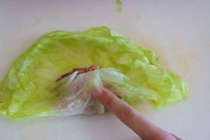 a hand pointing at a piece of lettuce