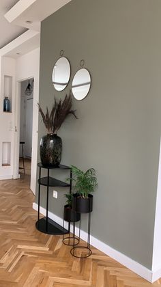 three round mirrors mounted on the wall above a table with two planters in it